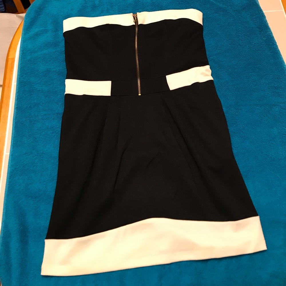 NWT Steve Madden XL Black and White Dress